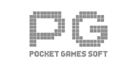 Visa partner logo